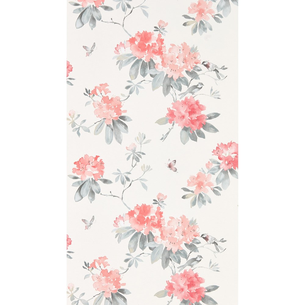 Rhodera Wallpaper 216264 by Sanderson in Coral Grey